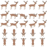 deer